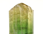 Tourmaline bicolor